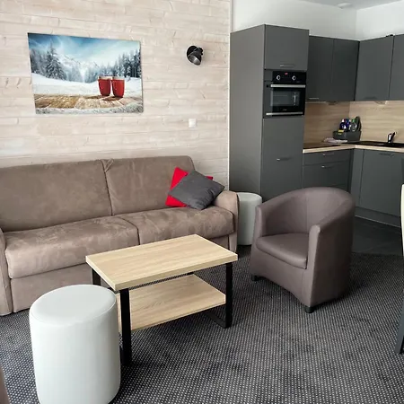 Apartamento à Gourette, 6 Pers, Proche Pistes, Animaux Admis - Fr-1-860-36 Gourette